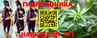 a pvp Татарск
