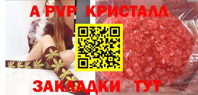 круглые Тара