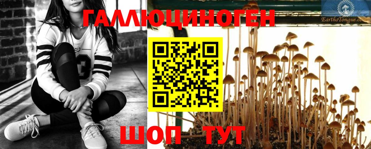 Псилоцибиновые грибы Magic Shrooms Ачинск